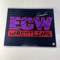 WWE/ECW 8x10 Print Signed by Sandman