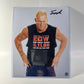 WWE/ECW 8x10 Print Signed by Sandman